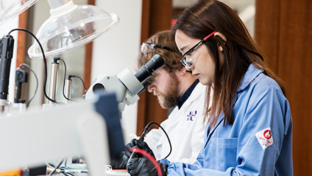 Two people at microscopes in lab