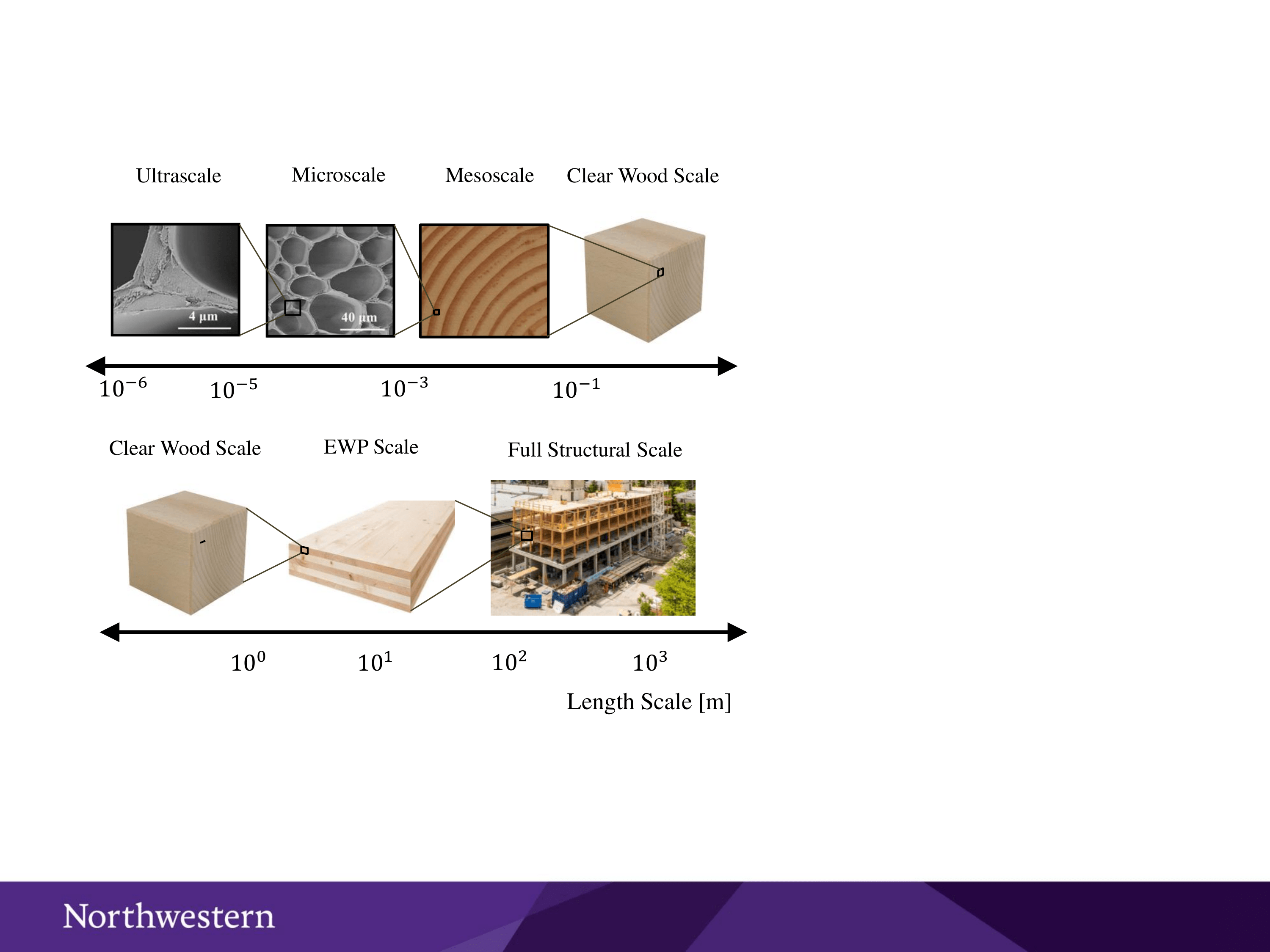 Multiscale description of wood and timber: from wood cellular internal structure to buildings                        Credits: G. Cusatis