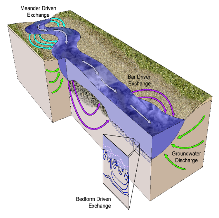 Hyporheic Exchange       Credit: Packman