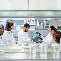 Students working in a lab