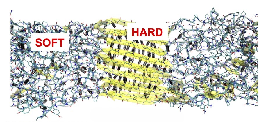 Molecular structure of spider silk // Credits: S. Keten