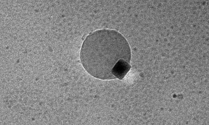 This is a water bubble emerging from a palladium nanocube.