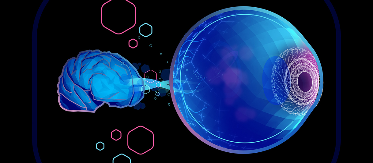 The vision-restoring project including Professors Hao Zhang and Cheng Sun received up to $56 million to fast-track development of a new generation of visible-light optical coherence tomography.