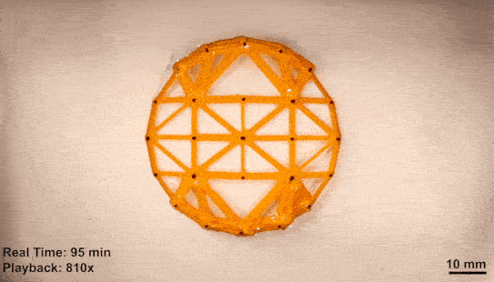 This GIF shows the circle-to-ellipse transition across cycles of thermal actuation.