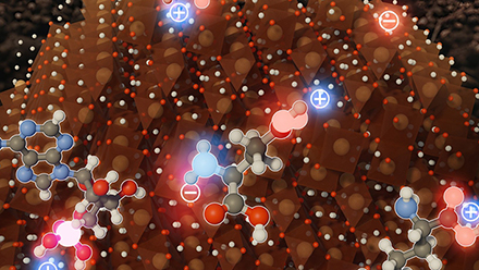 Iron Minerals’ Hidden Chemistry Explains How Soils Trap Carbon