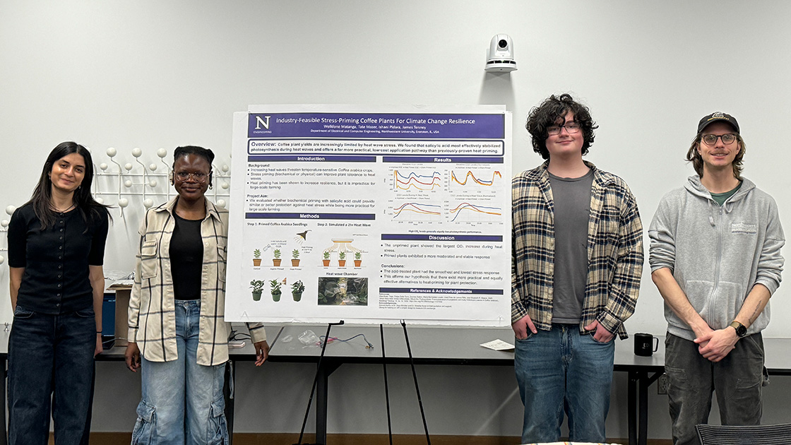 Industry-Feasible Stress-Priming Coffee Plants for Climate Change Resilience