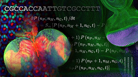 biology and math