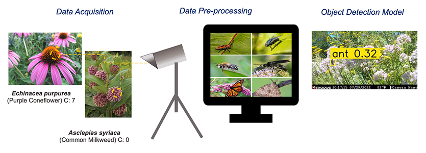 This graphic displays the three phases for the methodological framework.