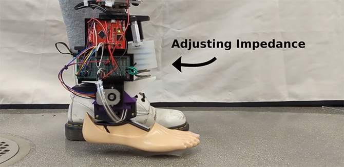 A prosthetic ankle